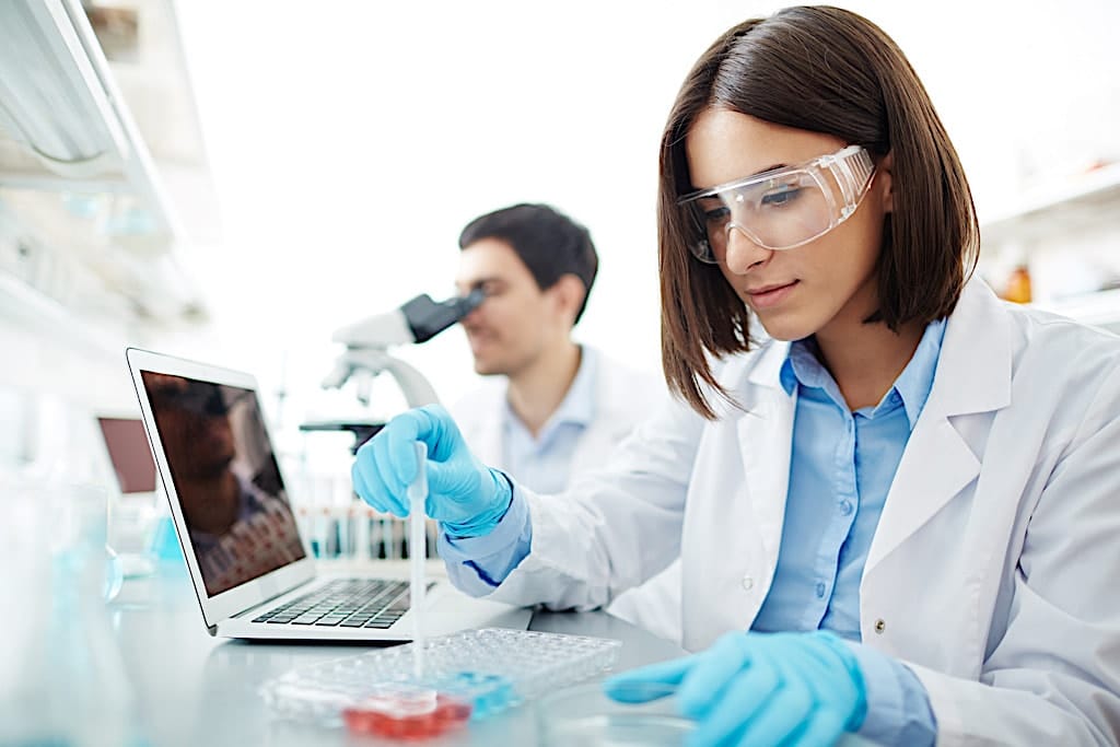 Innovación e Investigación